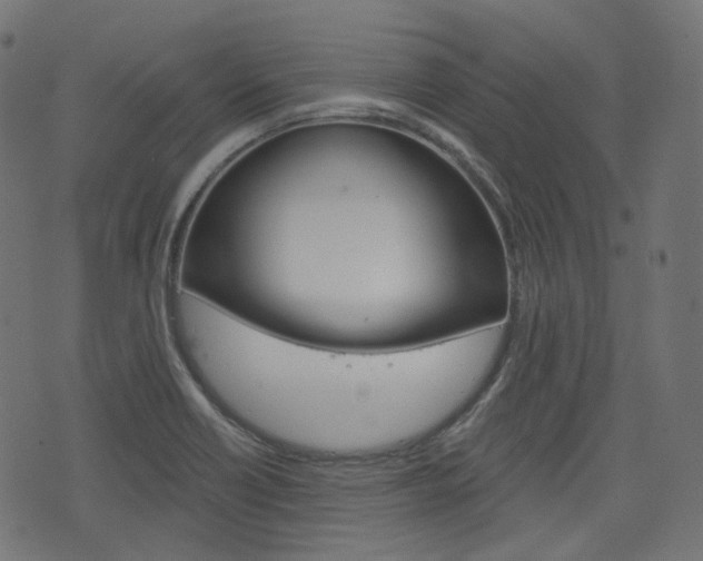 X0000076451418200610061034