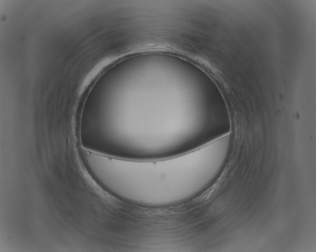 X0000076451422200610061034
