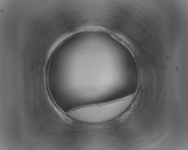 X0000076451430200610061034