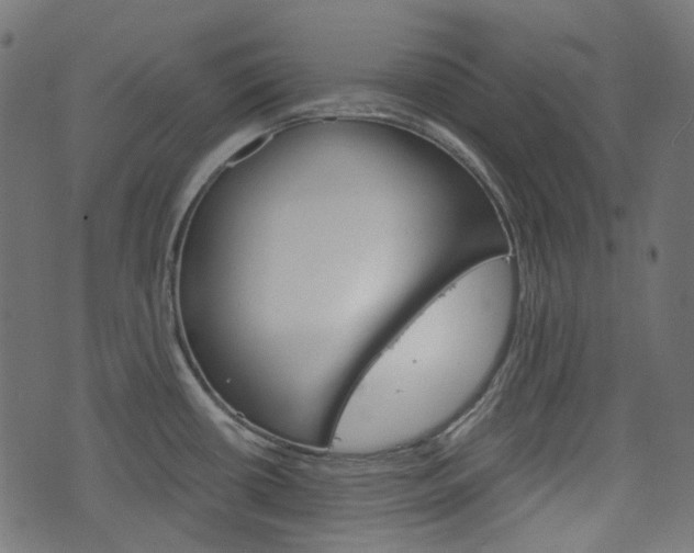 X0000076451434200610061034