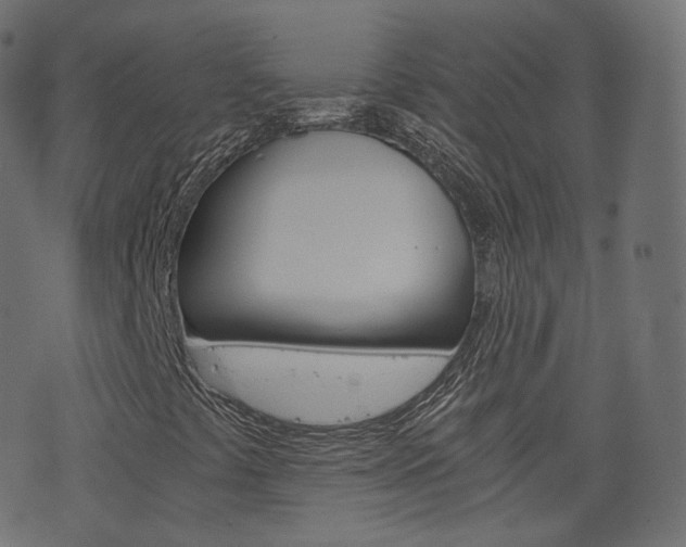X0000076451441200610061033