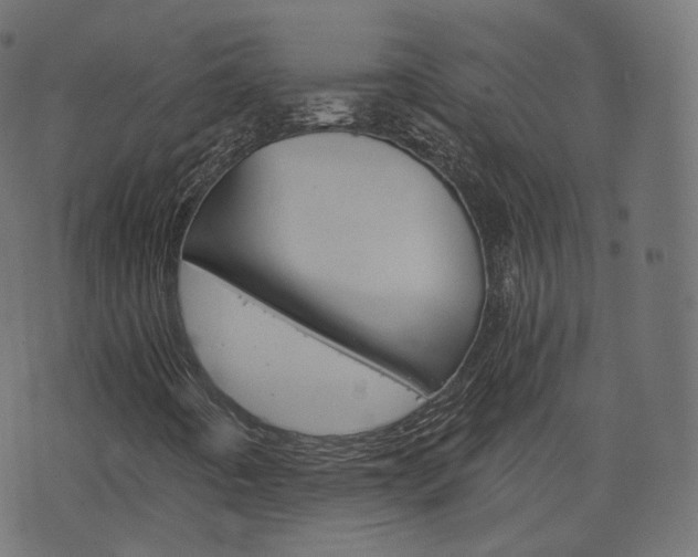 X0000076451442200610061033