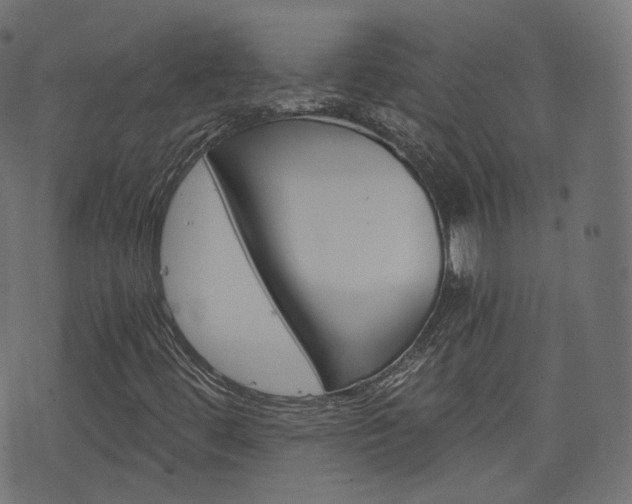 X0000076451444200610061033