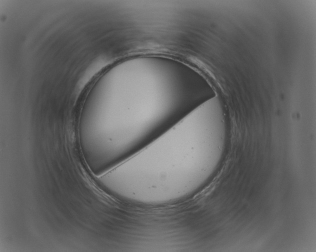 X0000076451458200610061033