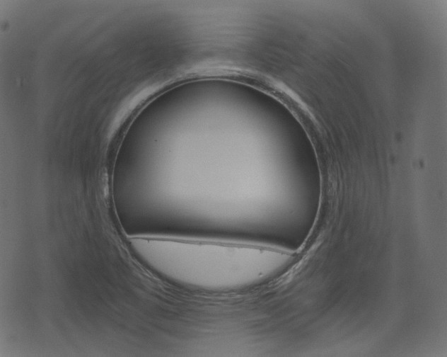 X0000076451461200610061033