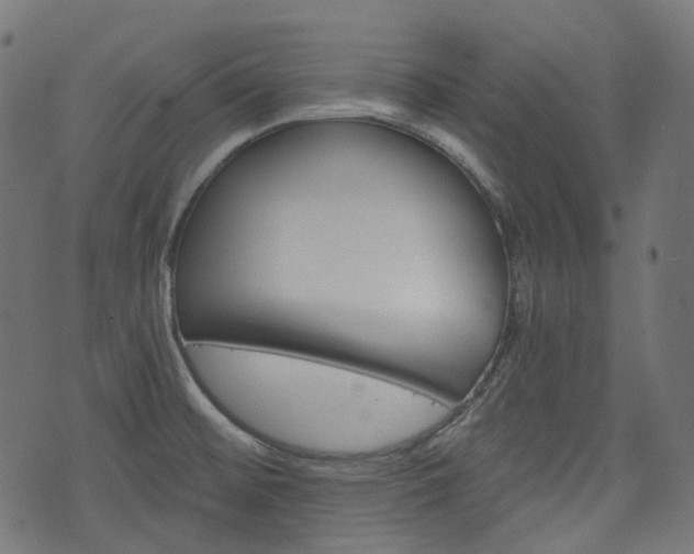 X0000076451476200610061033