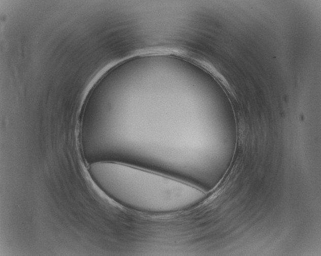 X0000076451484200610061033