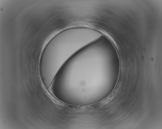 X0000076451485200610061033