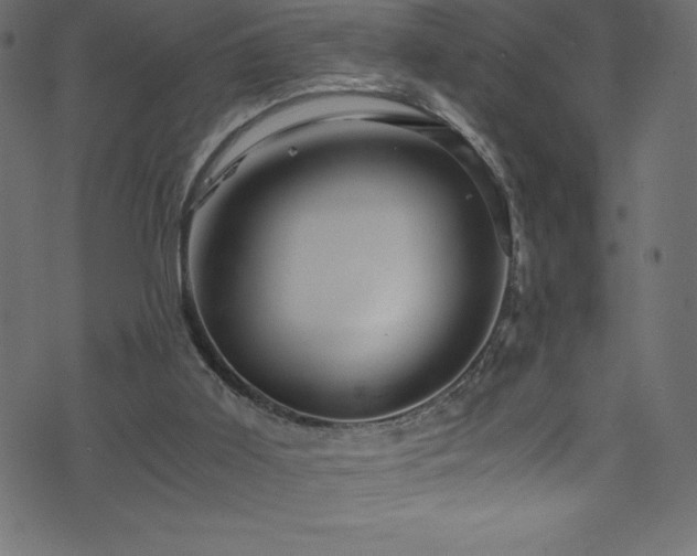 X0000076450011200610061334