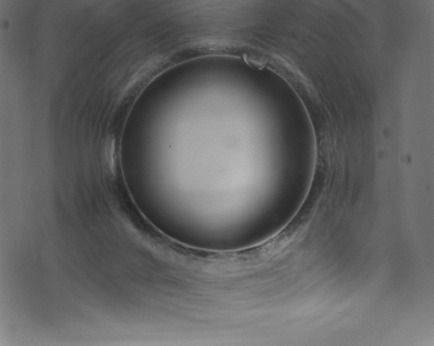 X0000076450024200610061334