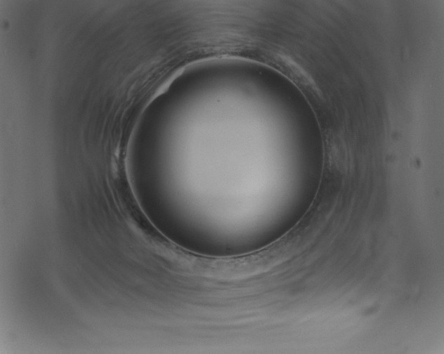 X0000076450026200610061334