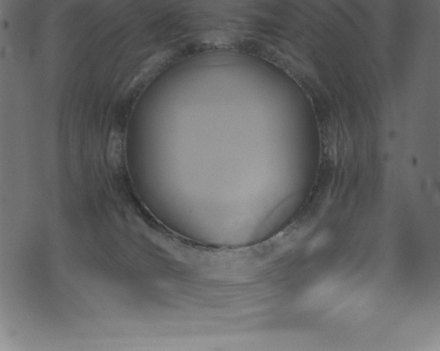 X0000076450036200610061334