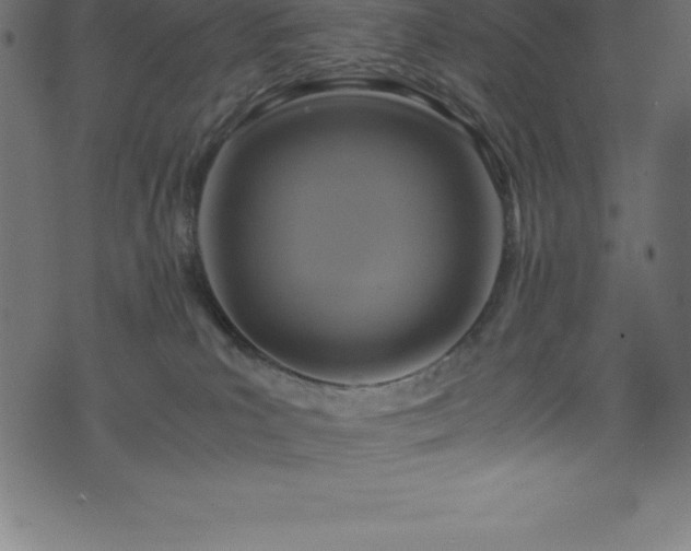 X0000076450039200610061333