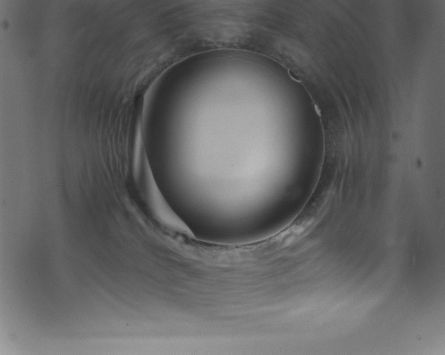 X0000076450040200610061333