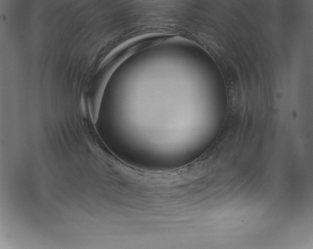 X0000076450042200610061333