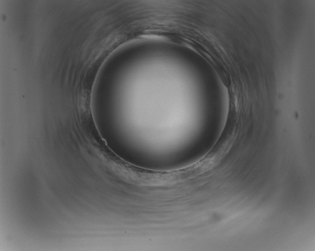 X0000076450044200610061333