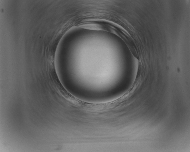 X0000076450045200610061333
