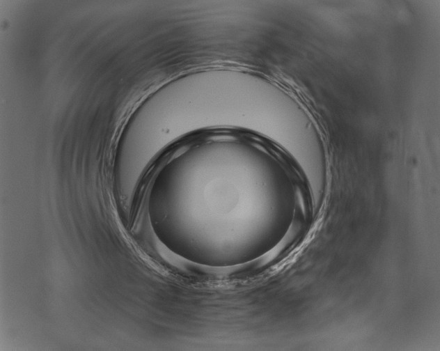 X0000076450049200610061333