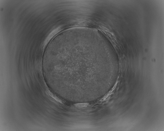 X0000076450051200610061333
