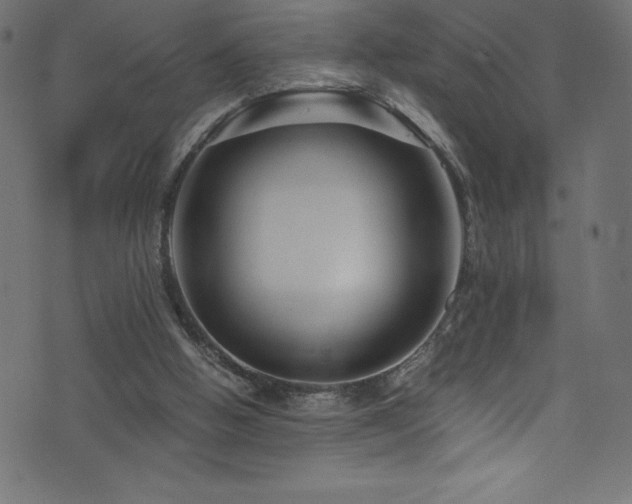 X0000076450058200610061333