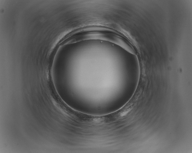 X0000076450060200610061333