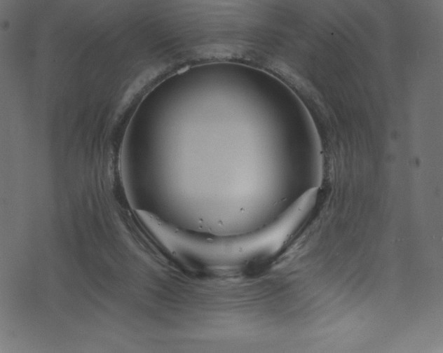 X0000076450064200610061333