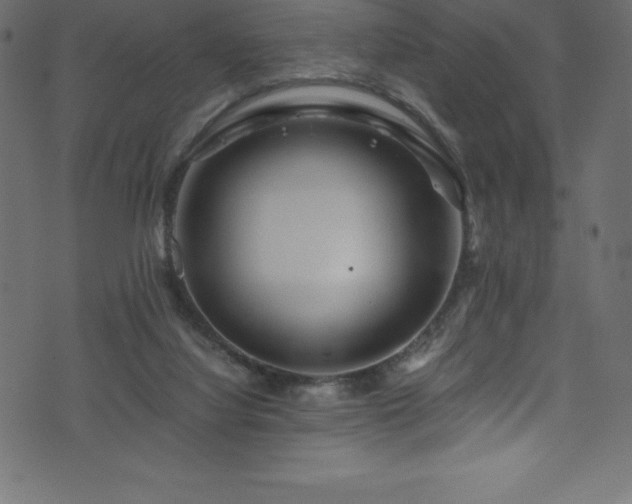 X0000076450068200610061333