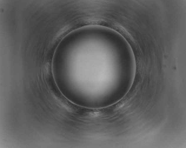 X0000076450071200610061333