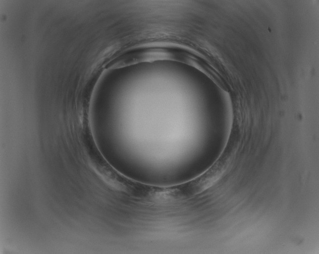 X0000076450072200610061333