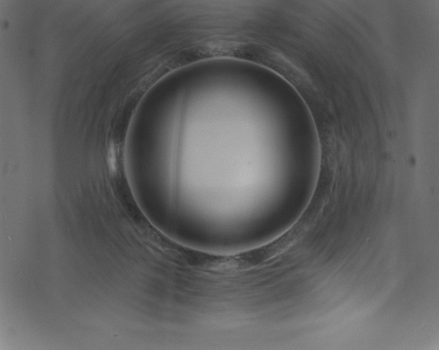 X0000076450075200610061333
