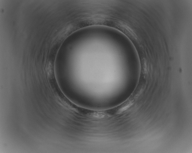 X0000076450077200610061333