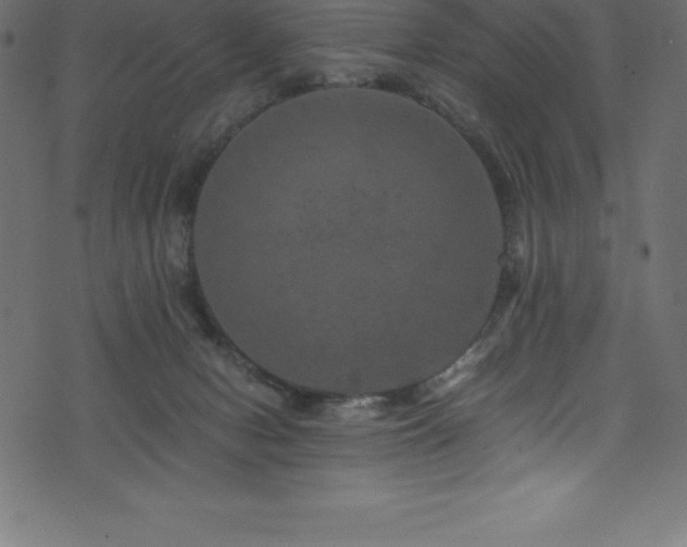 X0000076450078200610061333