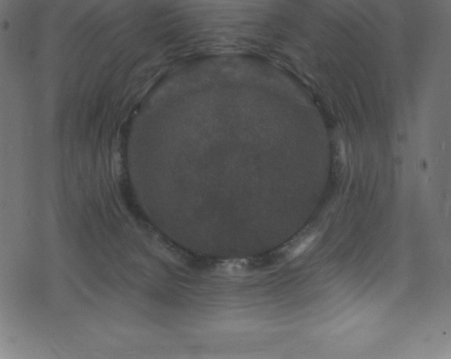 X0000076450080200610061333