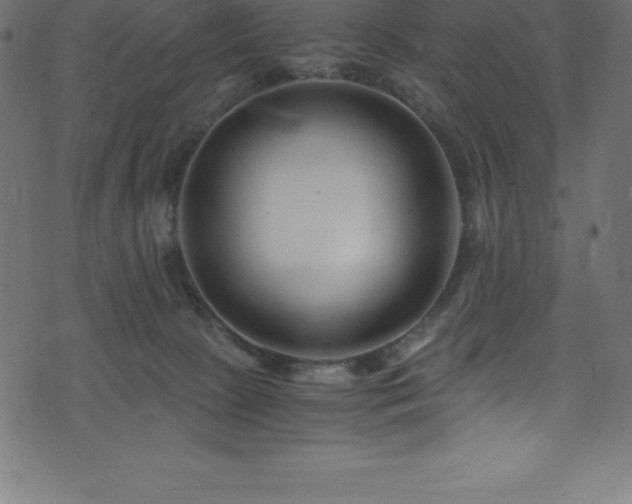 X0000076450081200610061333