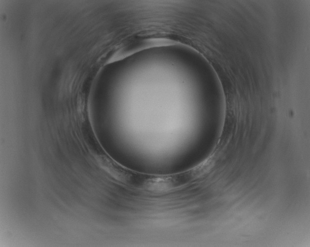 X0000076450082200610061333