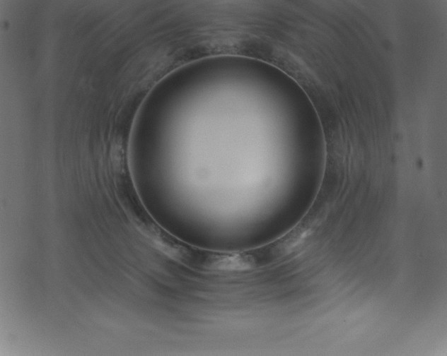 X0000076450083200610061333