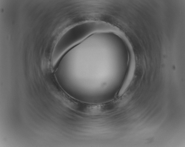 X0000076450084200610061333