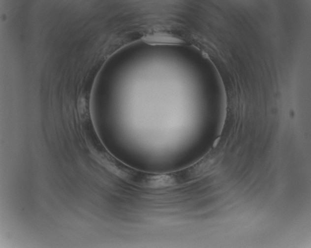 X0000076450087200610061333