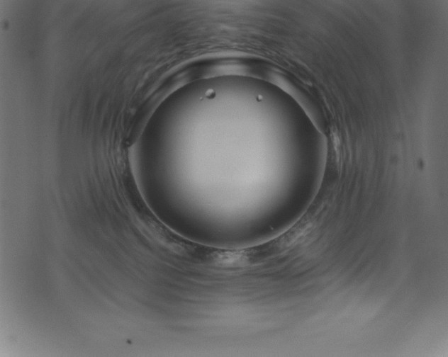 X0000076450088200610061333
