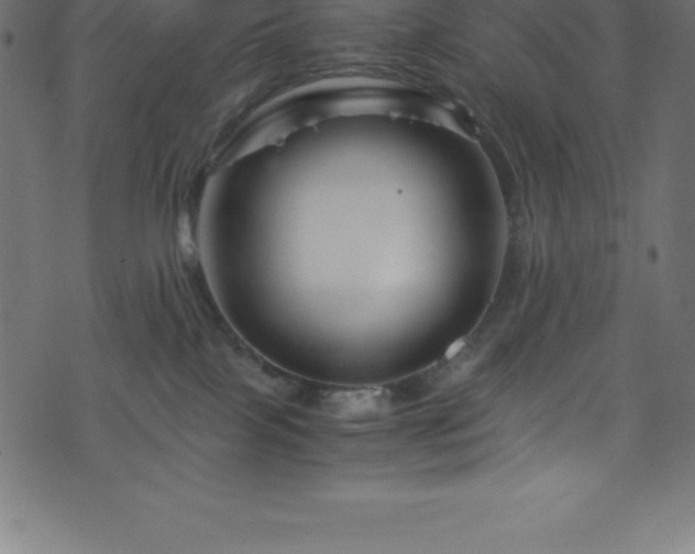 X0000076450089200610061333