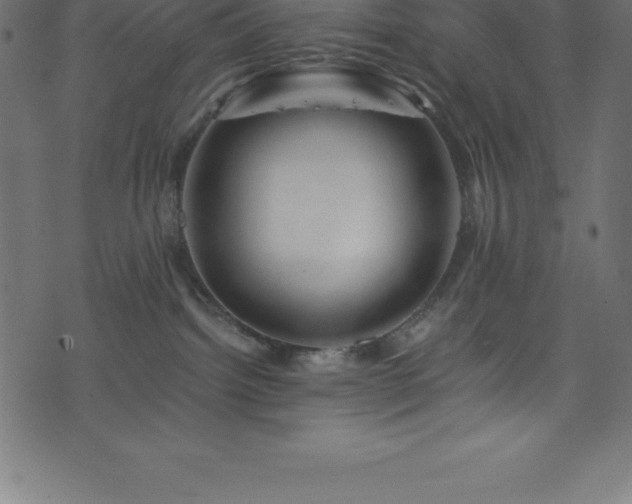 X0000076450092200610061333