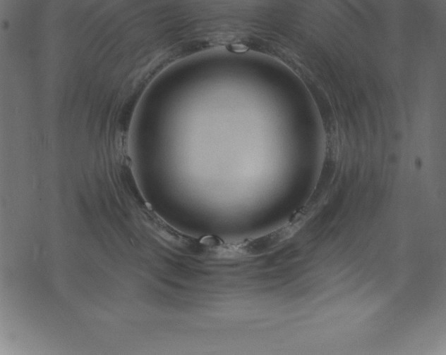 X0000076450093200610061333