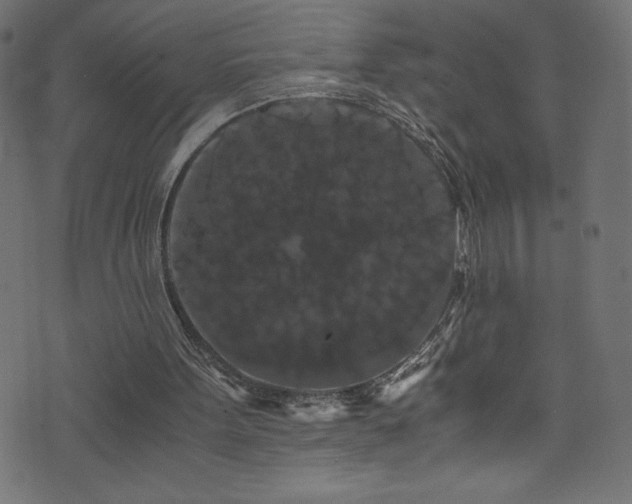 X0000076450099200610061333