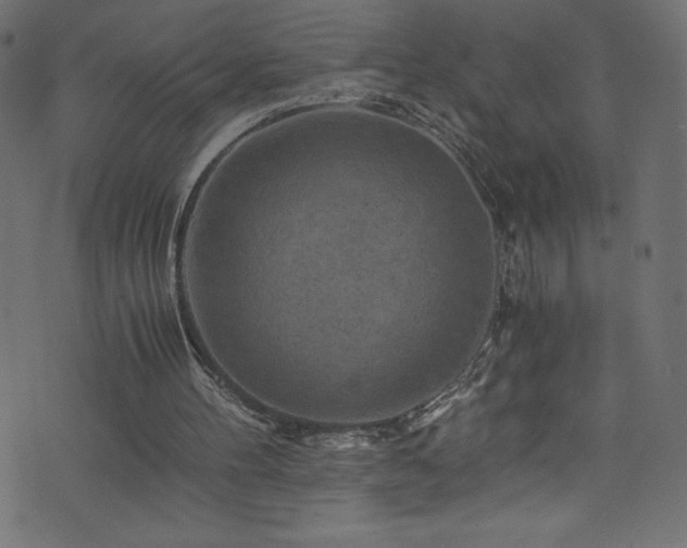 X0000076450100200610061332