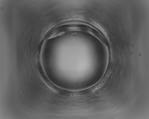 X0000076450105200610061332