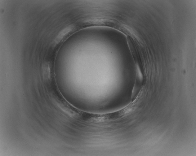 X0000076450120200610061332