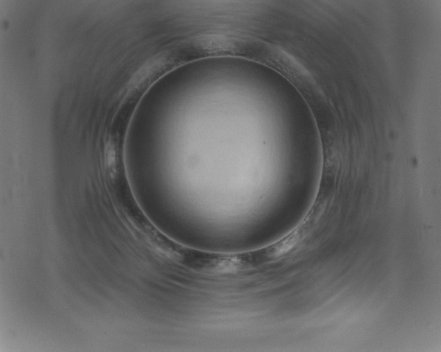 X0000076450124200610061332