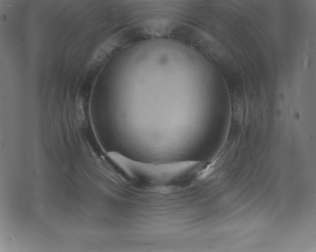 X0000076450128200610061332