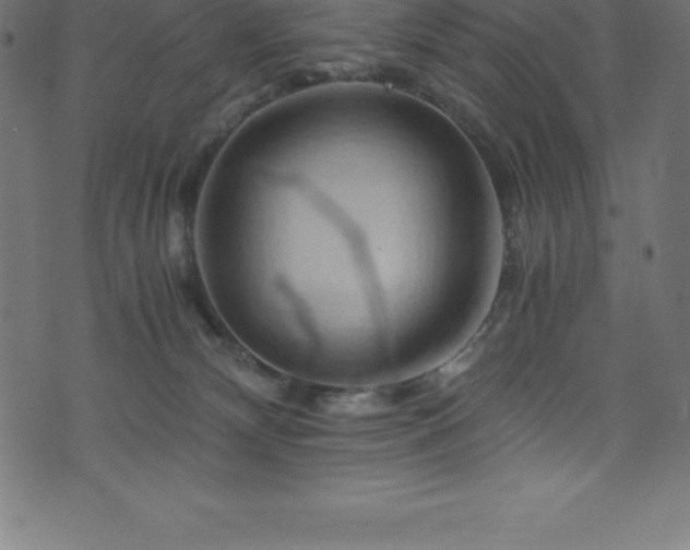 X0000076450132200610061332