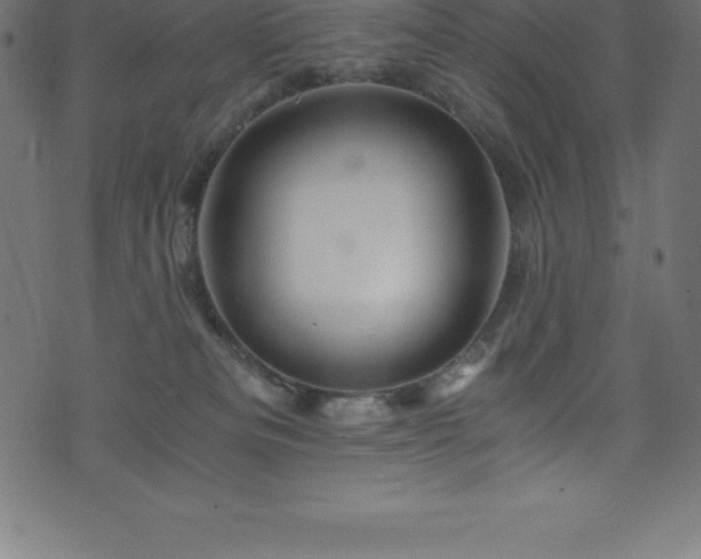 X0000076450133200610061332